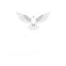 cropped a removebg preview2.png